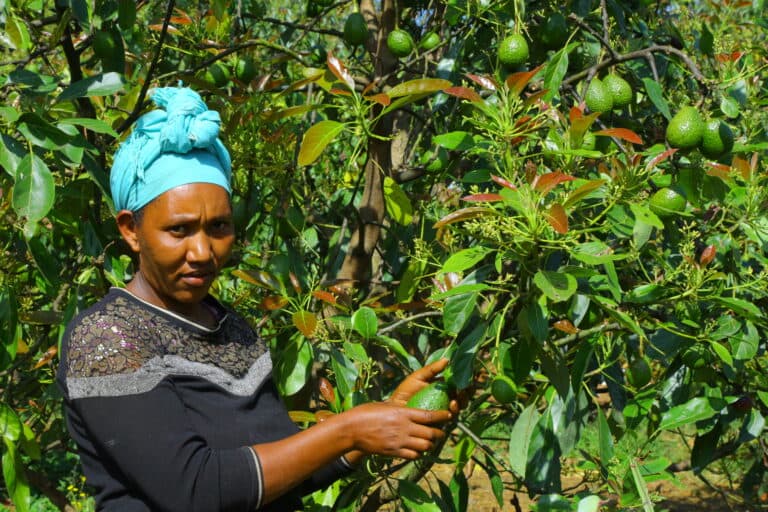Farmer partnerships and sustainable sourcing